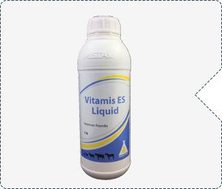 VİTAMİS ES LIQUID ORAL ÇÖZELTİ